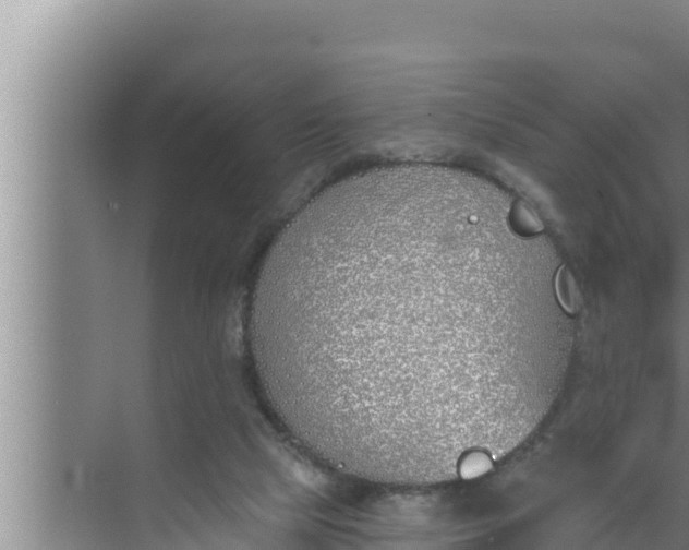 X0000072490065200607290050