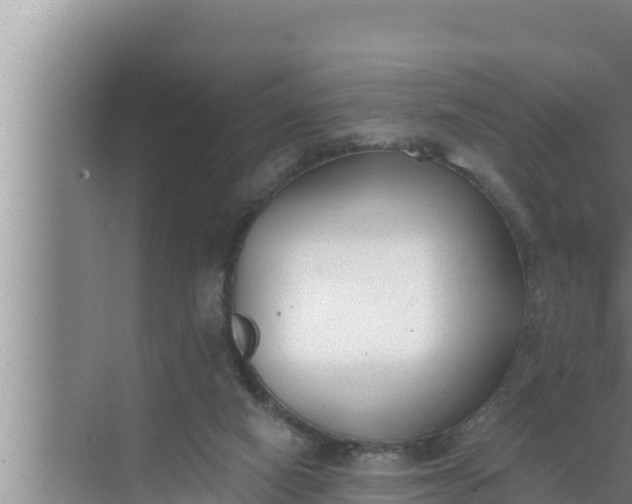 X0000072490066200607290050