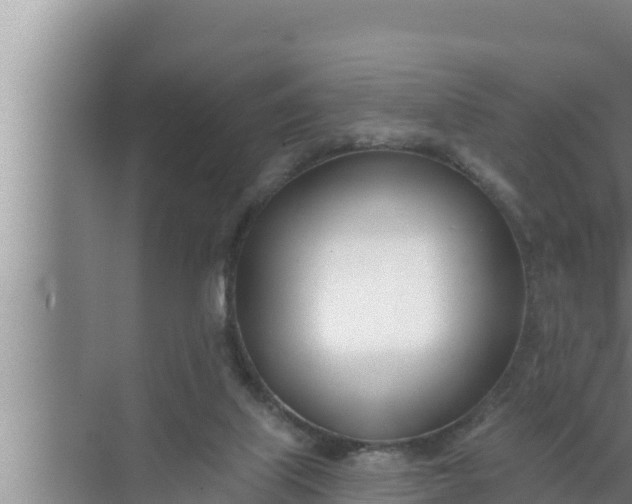 X0000072490067200607290050