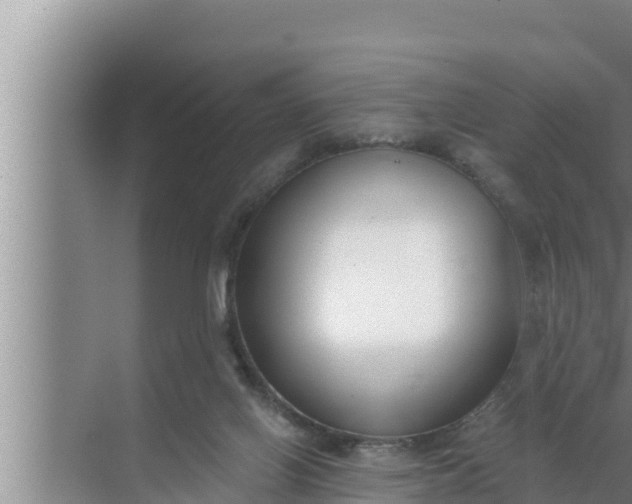 X0000072490070200607290050