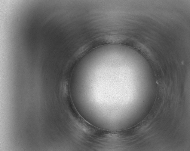 X0000072490071200607290050