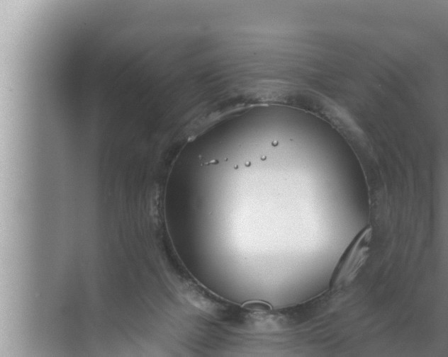 X0000072490073200607290050