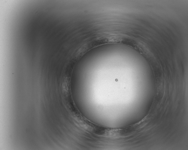 X0000072490078200607290051