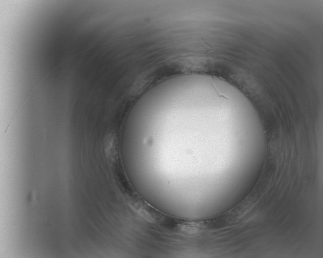 X0000072490079200607290051