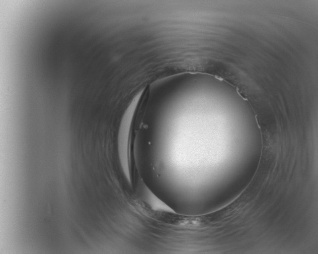 X0000072490080200607290051