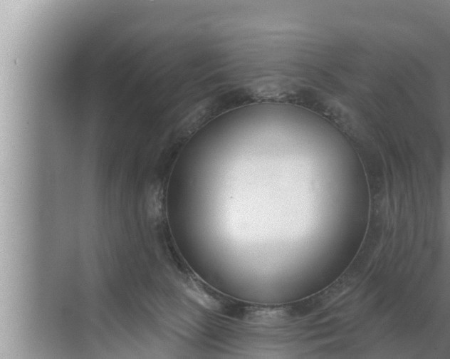 X0000072490081200607290051