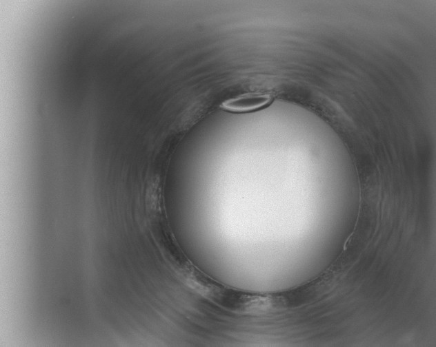 X0000072490083200607290051