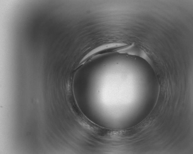 X0000072490084200607290051