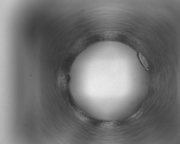 X0000072490086200607290051