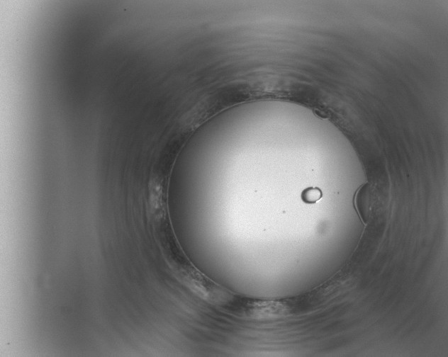 X0000072490087200607290051