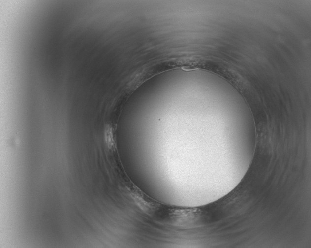 X0000072490089200607290051