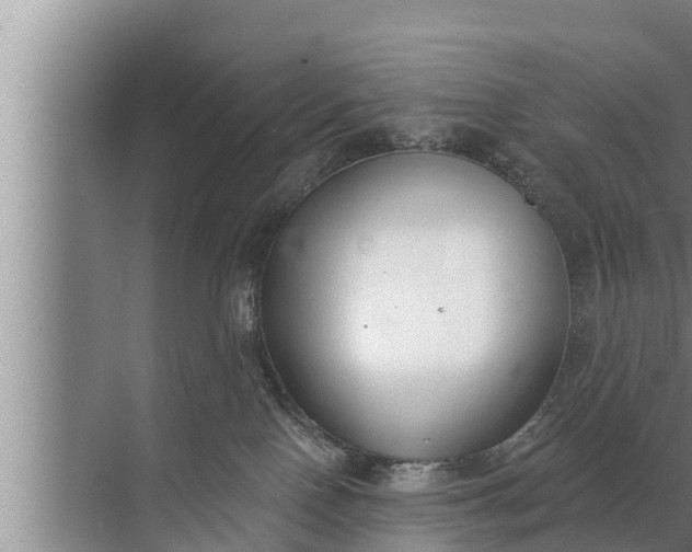 X0000072490090200607290051