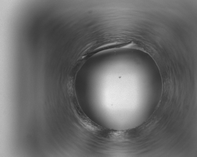 X0000072490092200607290051