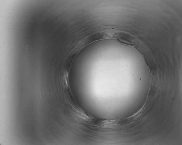 X0000072490094200607290051