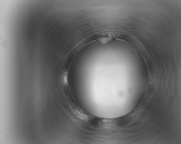 X0000072490095200607290051