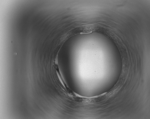 X0000072490096200607290051