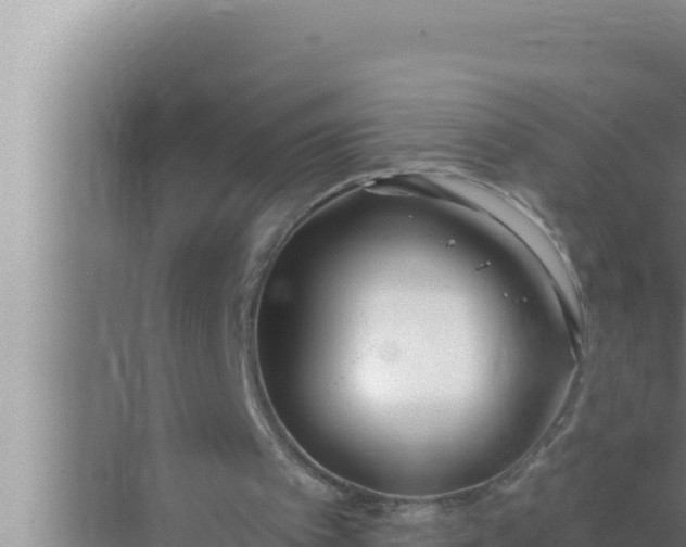 X0000072490097200607290050