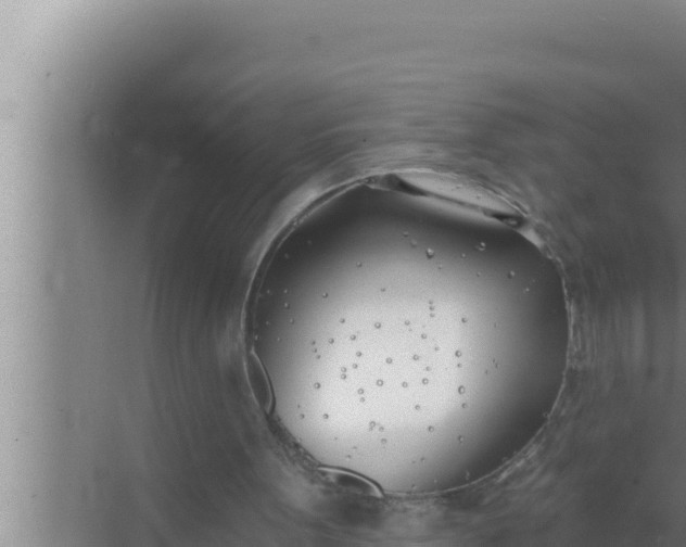 X0000072490099200607290050