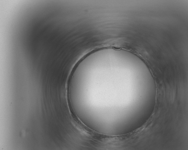 X0000072490100200607290050