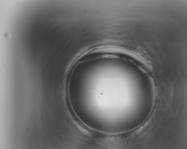 X0000072490101200607290050