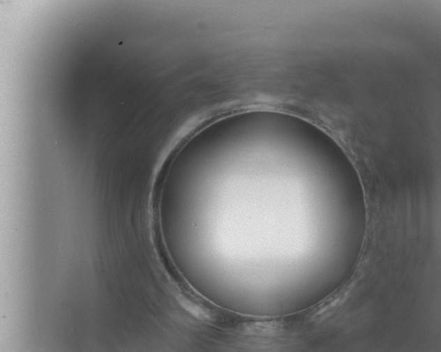 X0000072490102200607290050