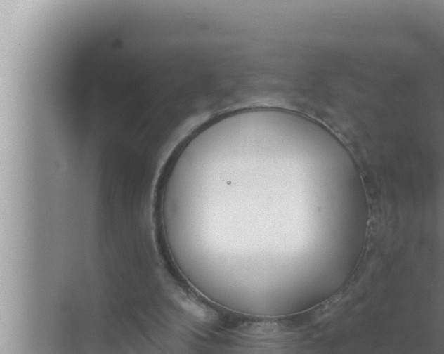 X0000072490104200607290050