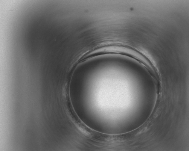 X0000072490105200607290050