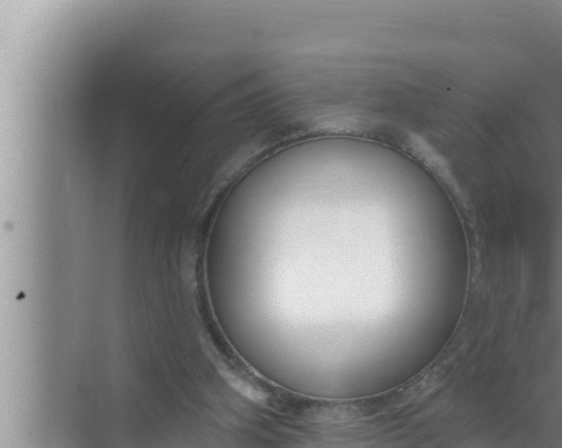 X0000072490106200607290050