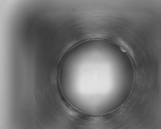 X0000072490107200607290050