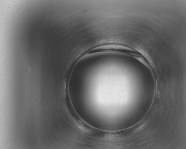 X0000072490109200607290050