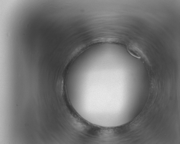 X0000072490110200607290050