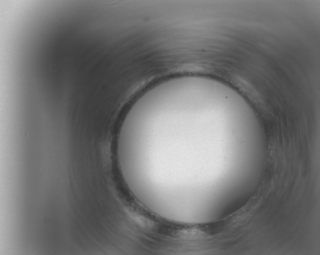 X0000072490112200607290050