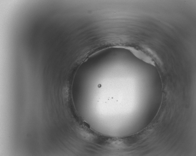 X0000072490113200607290050