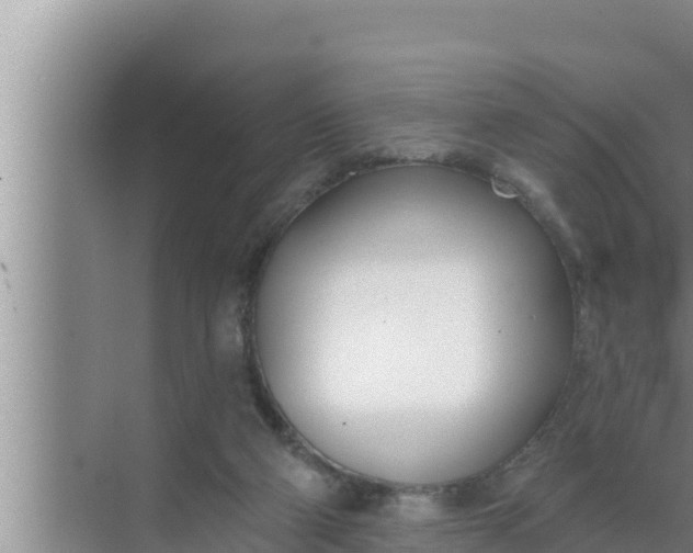 X0000072490114200607290050