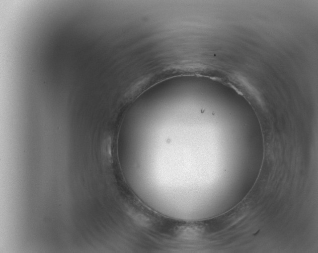 X0000072490115200607290050