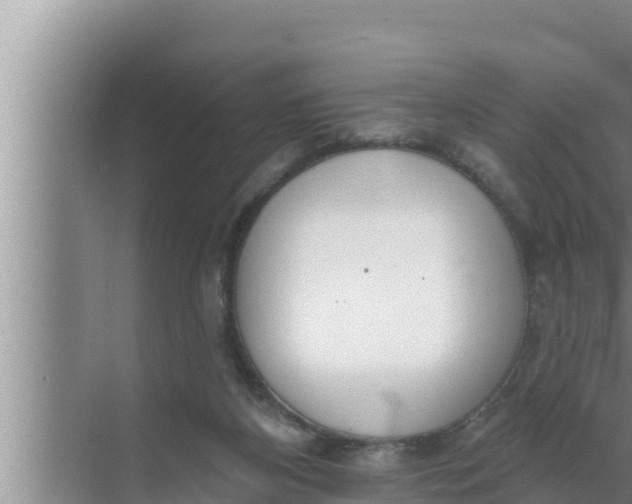 X0000072490116200607290050