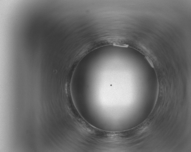 X0000072490117200607290050