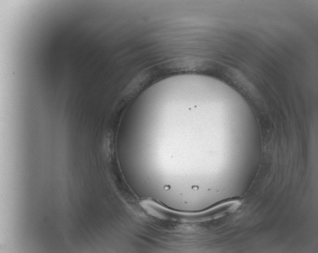 X0000072490119200607290050