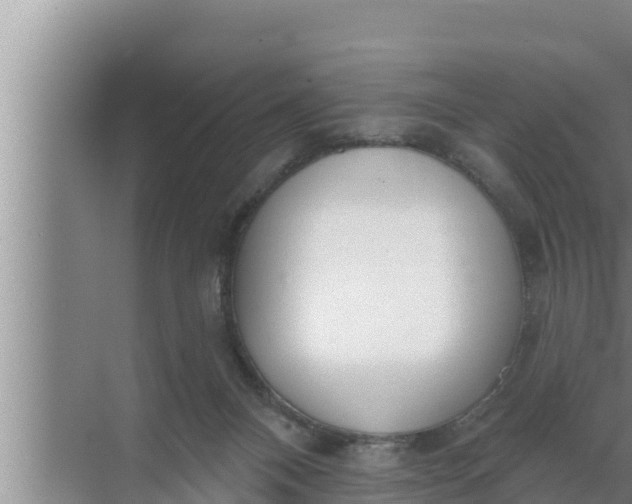 X0000072490120200607290050