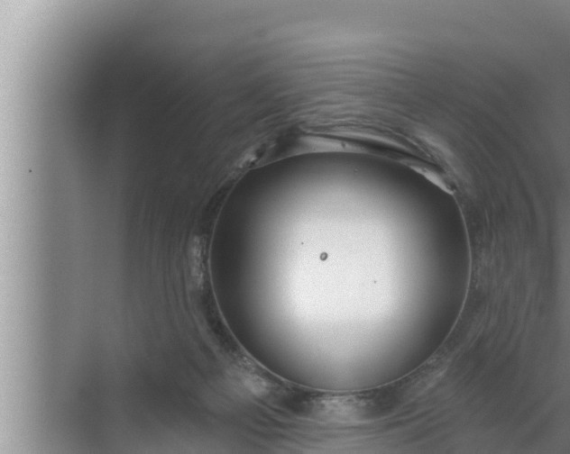 X0000072490121200607290050