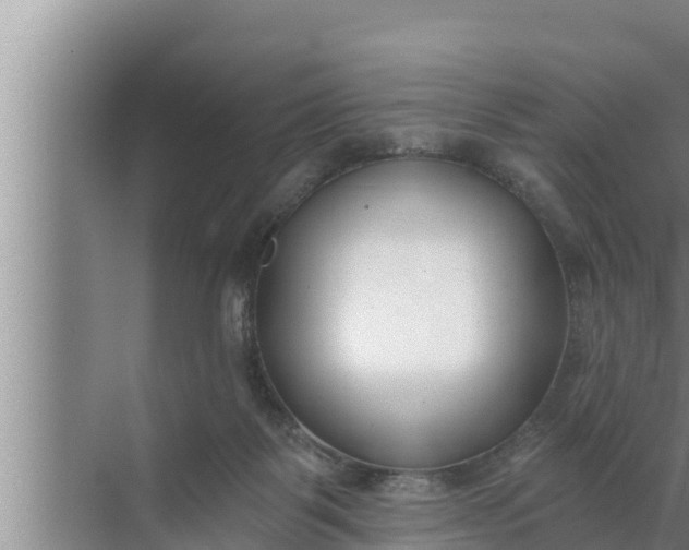 X0000072490123200607290050