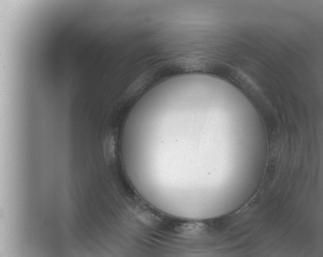 X0000072490124200607290050