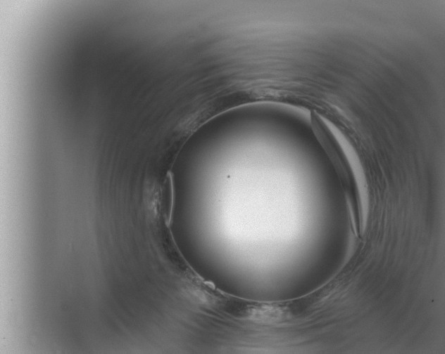 X0000072490125200607290050