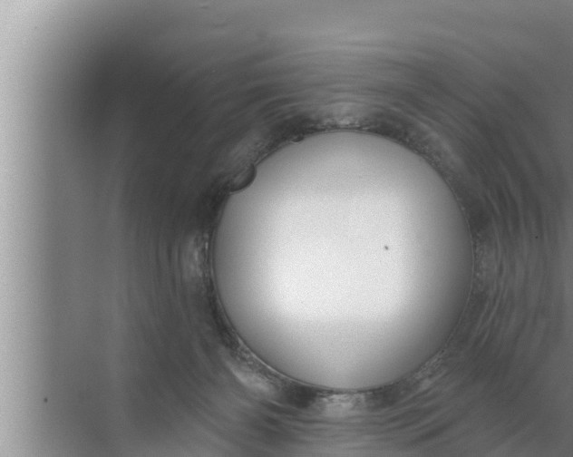 X0000072490126200607290050