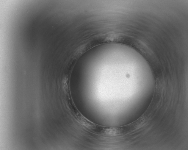 X0000072490127200607290049