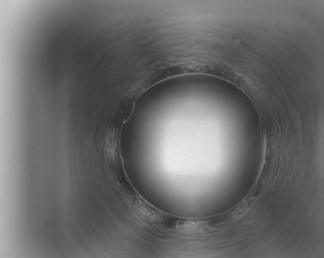 X0000072490129200607290049