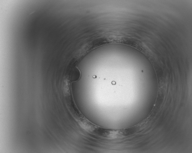 X0000072490130200607290049