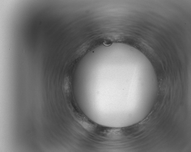 X0000072490132200607290049