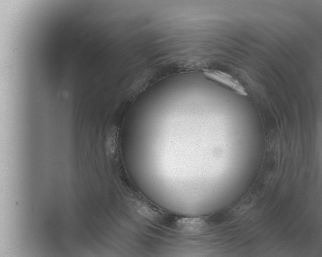 X0000072490133200607290049