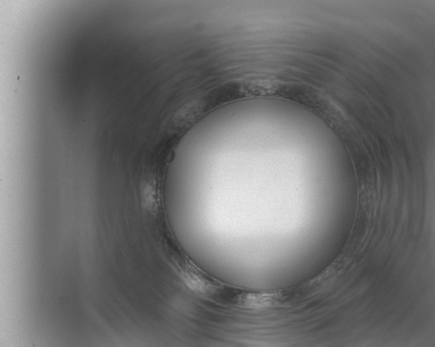 X0000072490134200607290049